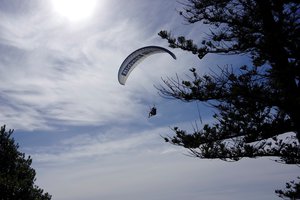 Landende paraglider