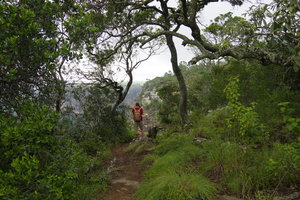 Wandelen in Oribi gorge