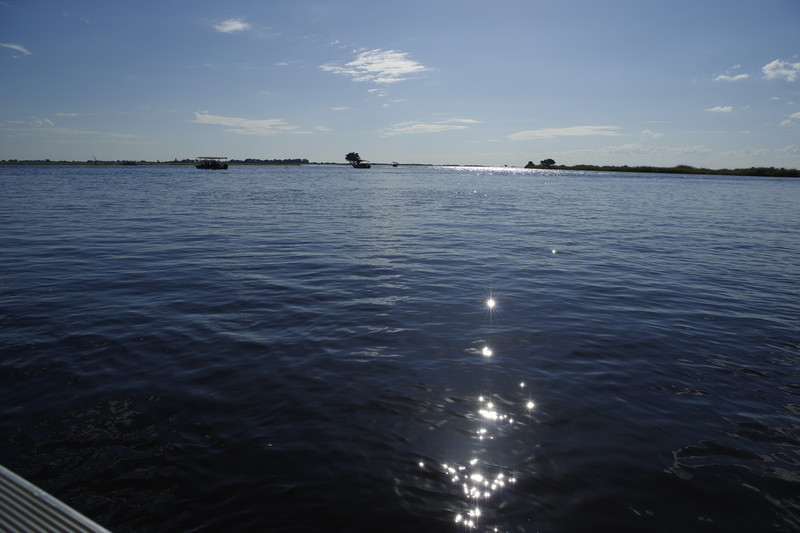 Boottocht over de Chobe rivier