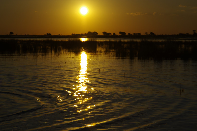 Zonsondergang op de Chobe 