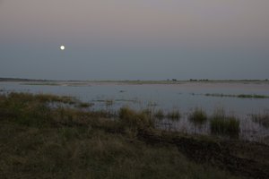 Ondergaande maan over de chobe bij Ihaha camp