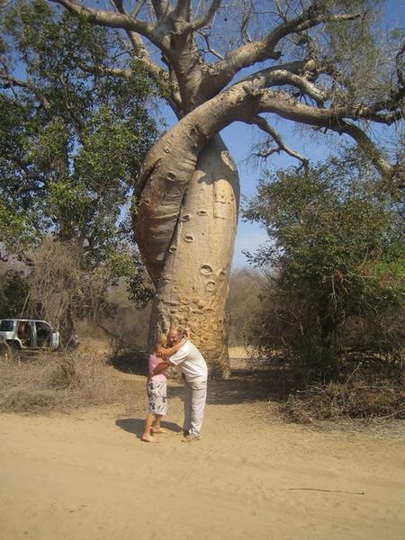 Jaques and Marie-claude and the Baobab of Love