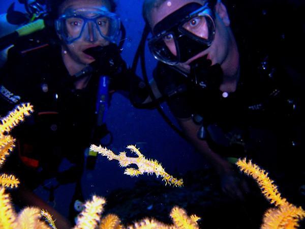  Tim and Amanda stare in awe - or have they got Nitrogen Narcosis....