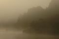Early morning mist on Lake Paringa