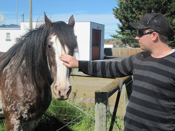 Matt in Middlemarch with a Clydesdale