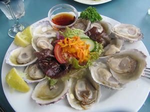 Bluff Oysters