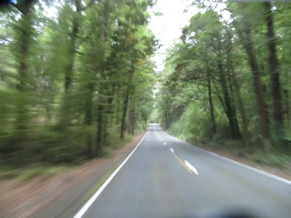 The drive up to Milford Sound