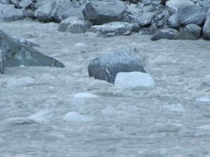 A snippet of the ice chunks flowing off Franz Josef