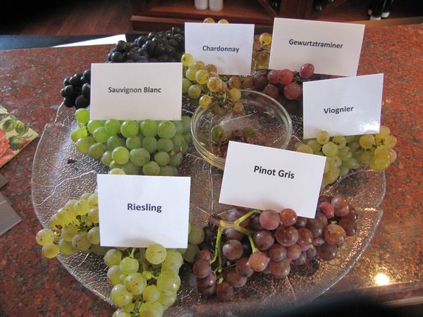 All the grape varieties