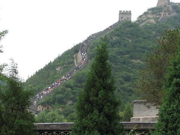 Great Wall Arrival