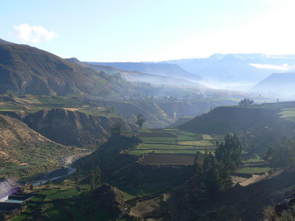 Colca Canyon in the early morning