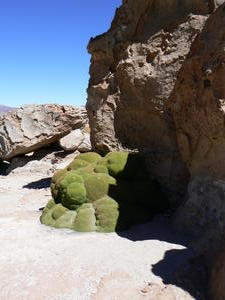 Strange formations in the Atacama