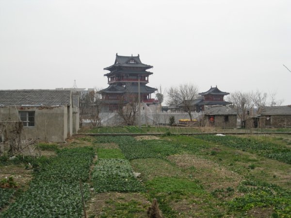 Spring walks through Taizhou 19