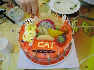 Cat's Cake.web