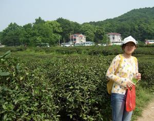Vivian Among the Tea Bushes