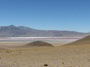 Day 1  Bolivian High Plains