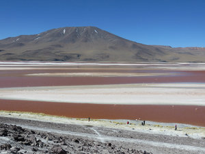 Day 1 Bolivian High Plains
