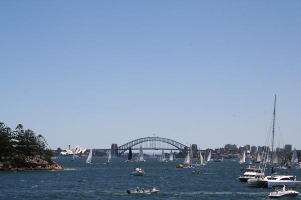 Yachts line up for the start of the race