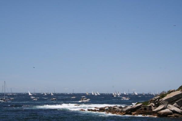 Yachts head out to Sea