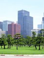 Imperial Palace Gardens - Ginza