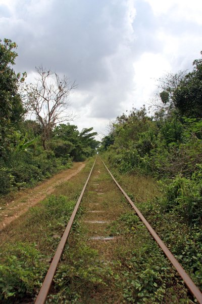 Bamboo Train Track