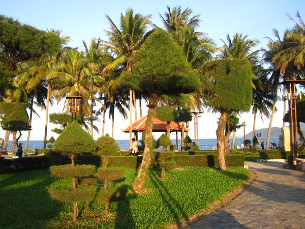 Tree Sculptures By The Beach