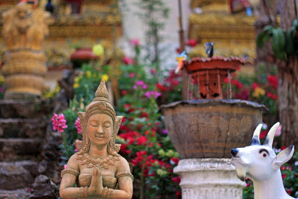 Garden At Wat Phrathat