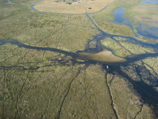 Okavango from the air
