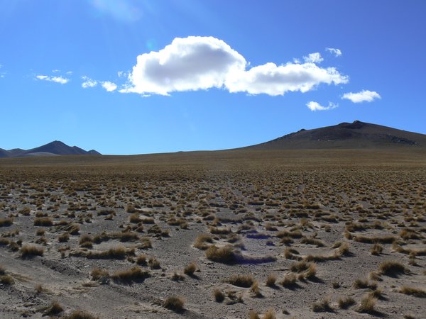 Amazing Bolivian Scenery