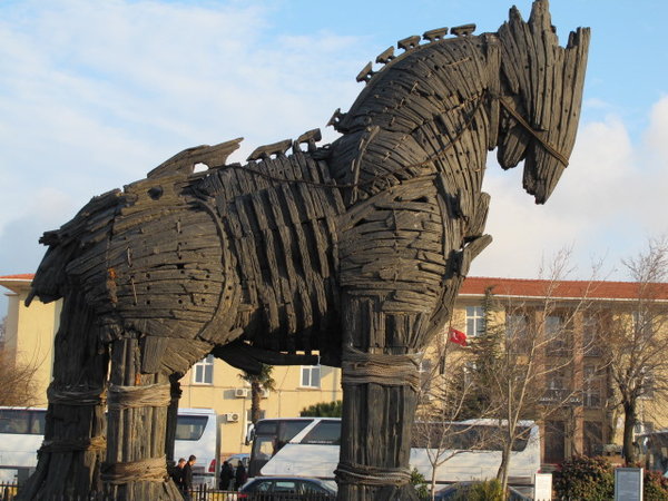 Troy, well the horse used in the movie