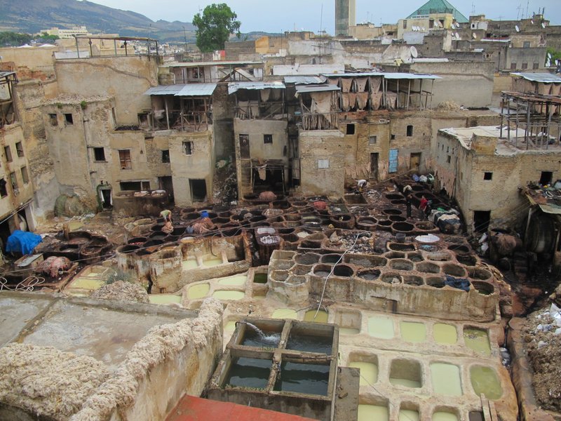 Tannery inside Old Medina