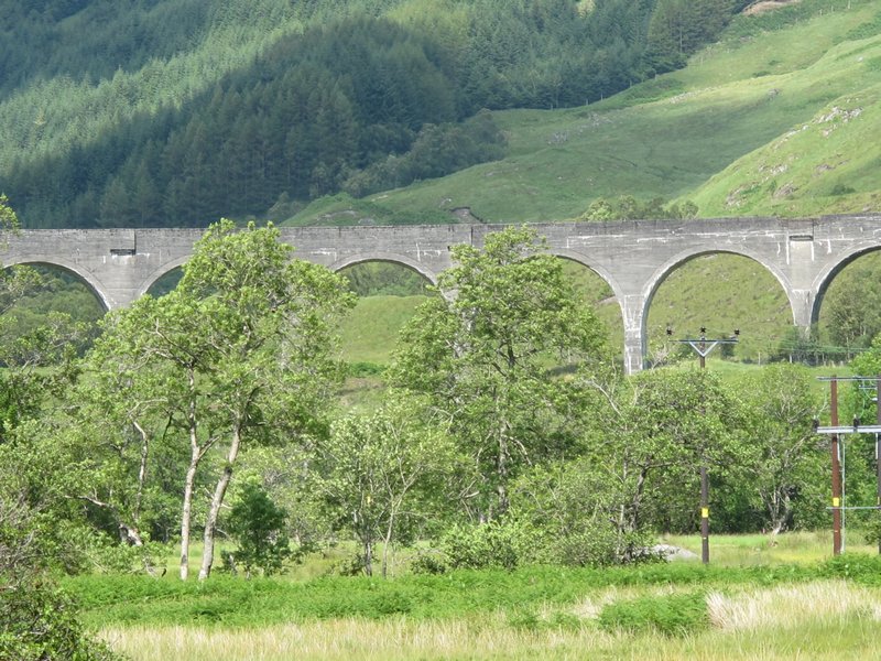 Harry Potter's Hogsworth Express Viaduct