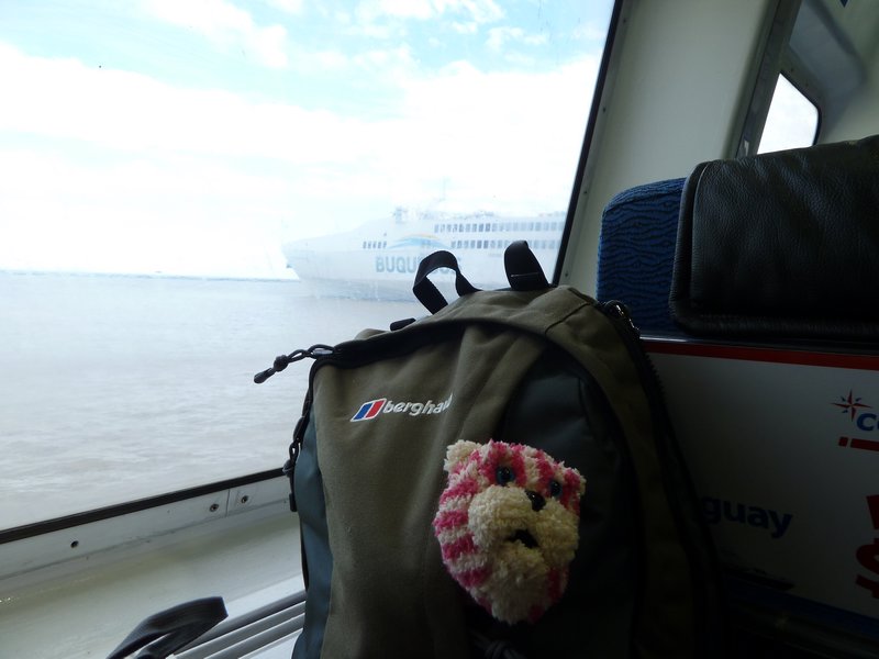Bag Puss travels to Uruguay