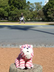 Bagpuss has an outing!