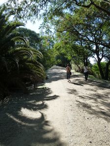 The nature reserve - Claudia and I walk ahead!