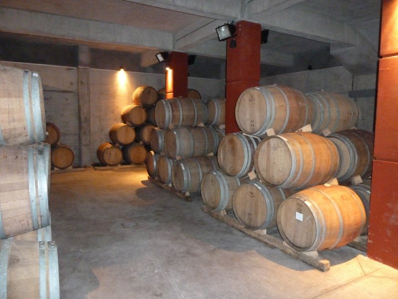 lots of barrels of wine!