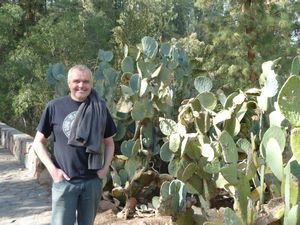 giant Cacti (and G!)