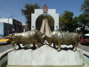 how bullfighting works in Arequipa