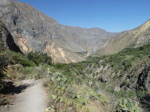 Colca Canyon 091