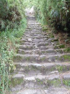 VERY steep stairs