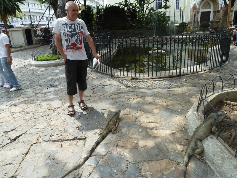 a fearless G defies massive lizard !!!