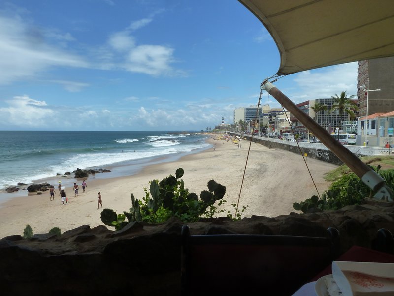 view from watering hole in Salvador