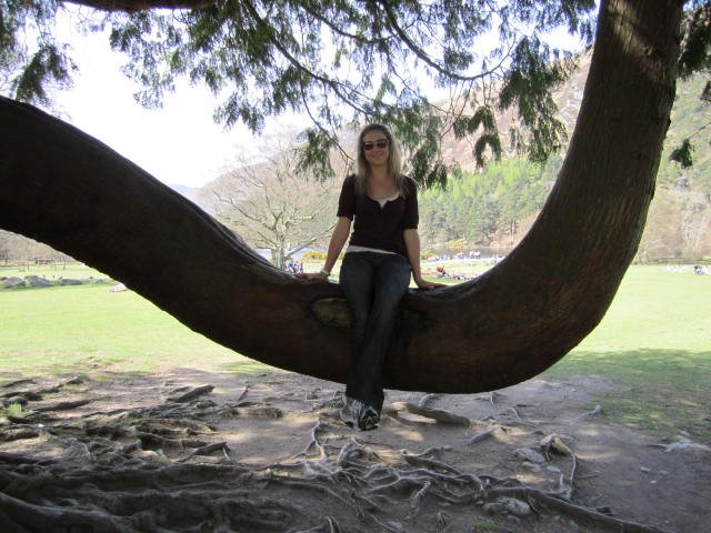 Cool bench tree