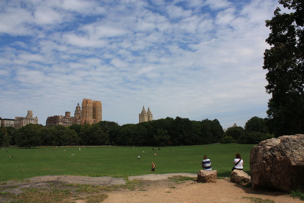 Sheep Meadow at Central Park