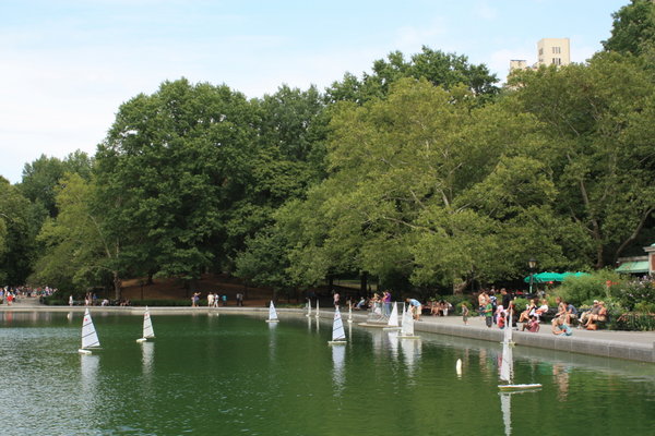 Sailing in Central Park