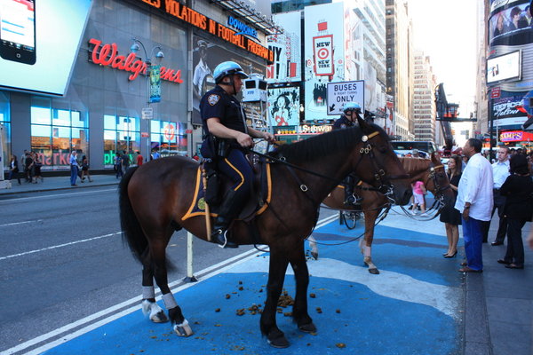 Horse and droppings at Times Square