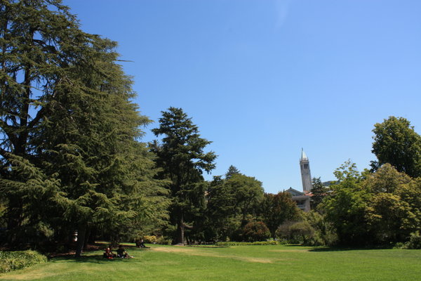 Berkeley green grounds and Sather Tower