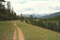 Bike trail from Pyramid Lake back to Jasper