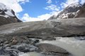 At the toe of the Athabasca Glacier
