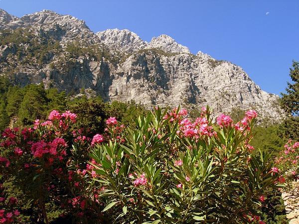 The White Mountains, Crete